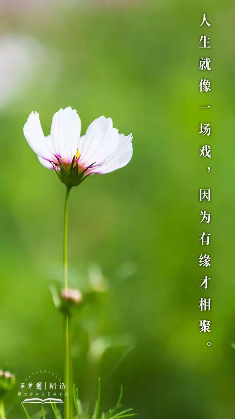 相遇一场不容易原唱