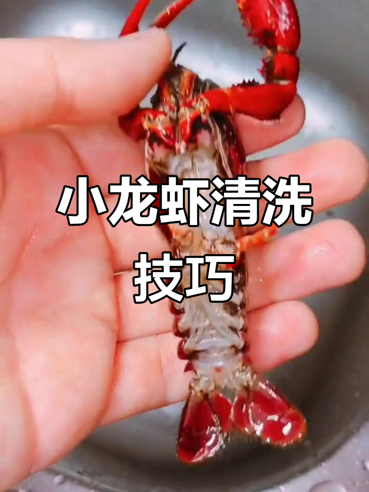 小龙虾怎么处理才正确